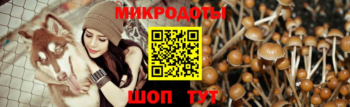 Галлюциногенные грибы Psilocybe  Вход с VPN  Михайловск  Псилоцибиновые грибы Magic Shrooms 